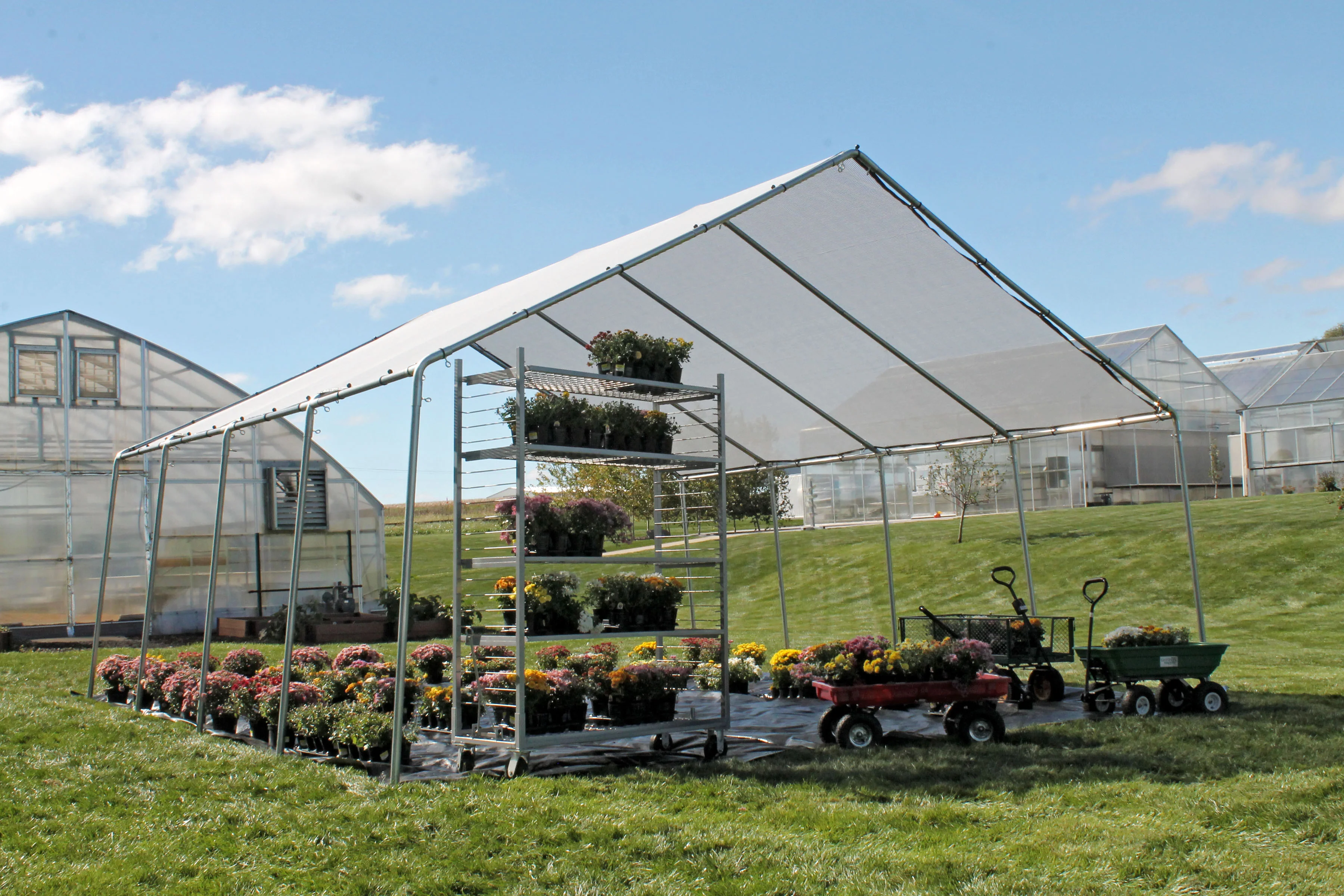 Commercial greenhouse
